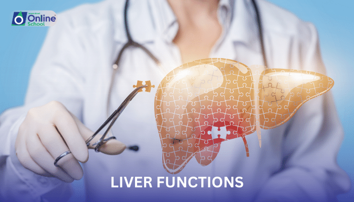 Lesson 09: Liver Functions